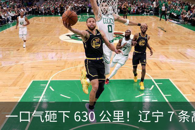 一口气砸下 630 公里！辽宁 7 条高速集体发力，整个东北路网要大变样